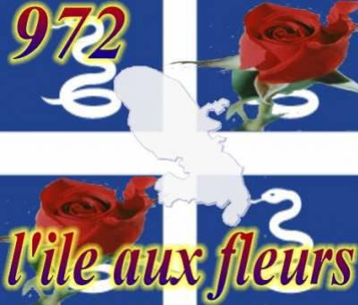 972 l'&icirc;le o fleur
